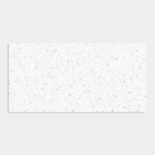 Agglo Lido Terrazzo Matt 300x600