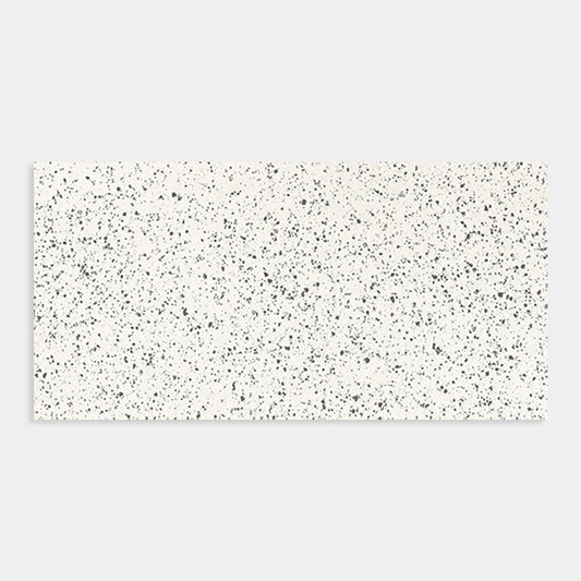 Rialto White Terrazzo Tile 300x600